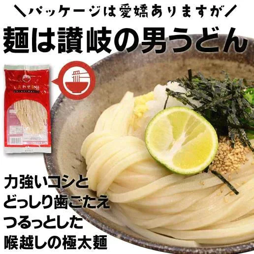 大容量 まとめ買い 3kg(300gx10袋）本場讃岐純生うどん 約30人前 製造直売 送料無料 特製つゆ付き しあわせ製麺 しあわせうどん