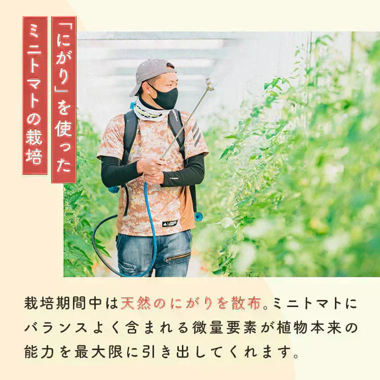 1kg  家族の笑顔が広がる完熟ミニトマト「トマランタン」東北配送不可】