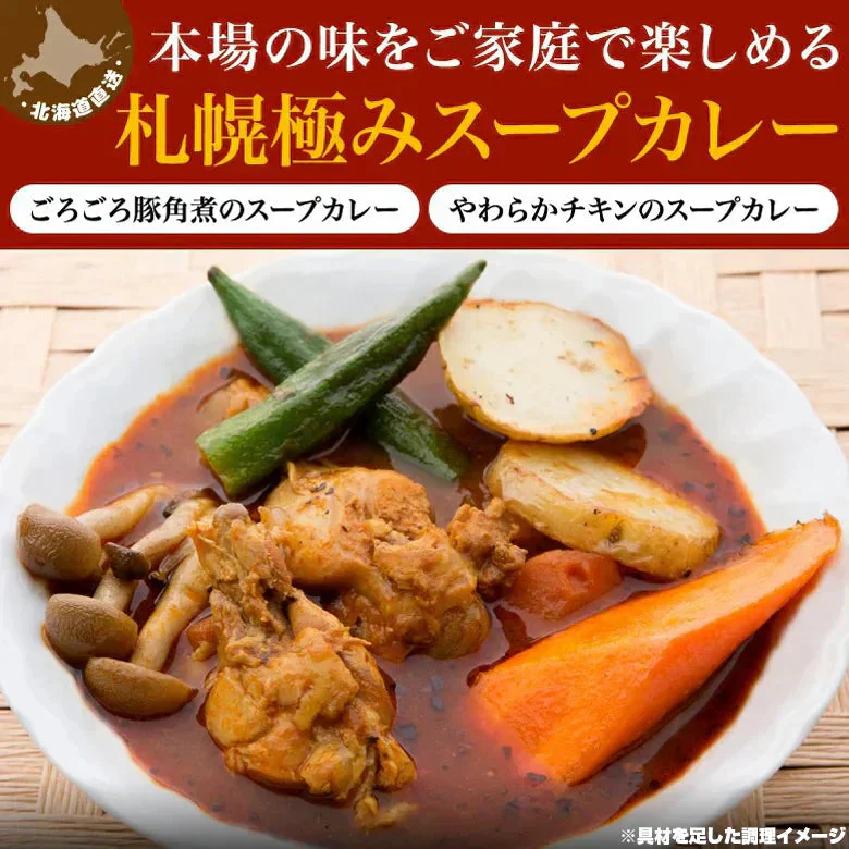 スープカレー 送料無料 2種入でお得 札幌極みスープカレー 10食 北海道 カレー レトルト 大容量 （チキン5食・豚角煮5食） ギフト