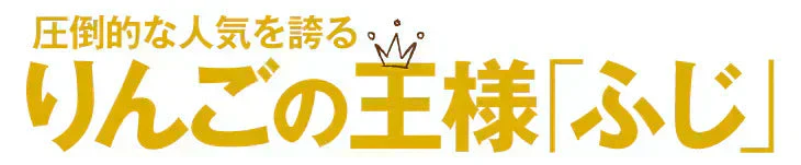 りんご サンふじ 青森産 5kg ご家庭用