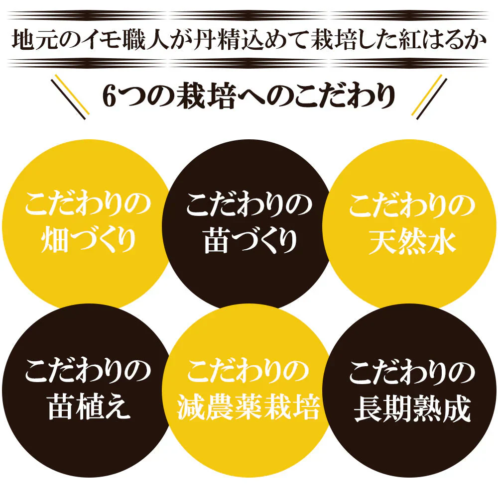 紅はるか さつまいも 5kg 産地直送 産直 土付き さつま芋 薩摩芋 焼きいも 焼き芋 石焼き芋 芋 いも イモ 鹿児島県産 FJK-000