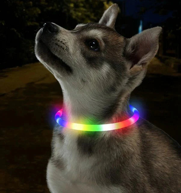 当日発送★光る首輪 犬用 レインボー 発光首輪 充電式 usb充電式 装着簡単 柔らかい 軽量 サイズ調整可能 ペット 犬 猫 視認性 4モード w494G(ブルー)