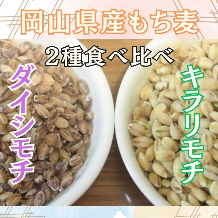 ★もち麦2種食べ比べ（キラリモチ＆ダイシモチ）計10kg　令和7年岡山県産