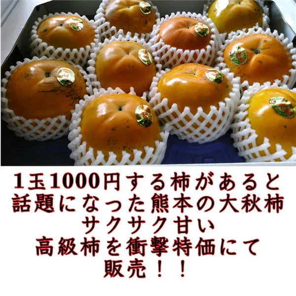 【10月中旬より順次発送予定】太秋柿 訳あり 1箱(約3kg) 約7～14玉 送料無料　80サイズ