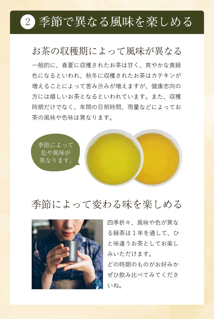 【2024年産】静岡県産緑茶 ティーライフのまかない新茶 100個入（ ティーバッグ 緑茶 新茶 ）