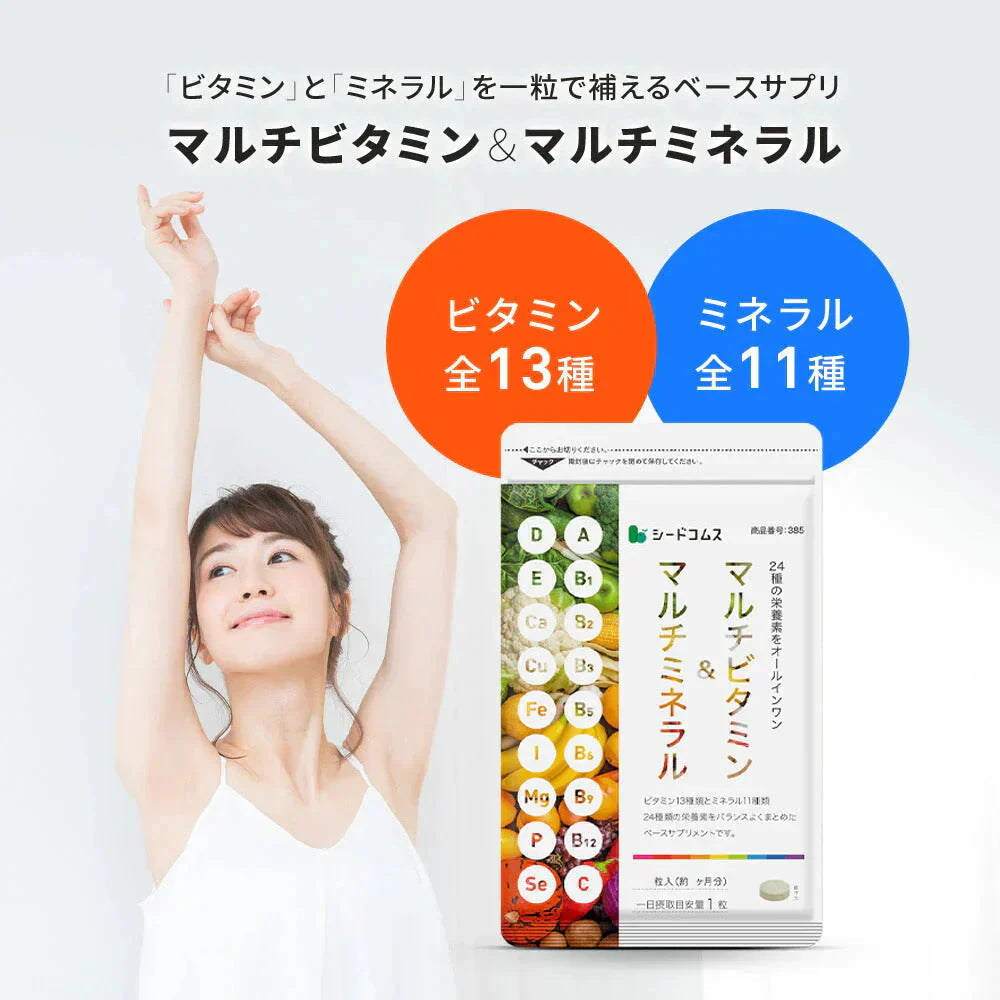 マルチビタミン＆マルチミネラル《約12ヶ月分》送料無料 サプリ サプリメント 健康 美容 ビタミンA ビタミンB ビタミンC ビタミンD ビタミンE 葉酸 ナイアシン ミネラル カロテン 鉄 亜鉛 カルシウム マグネシウム 銅 ヨウ素