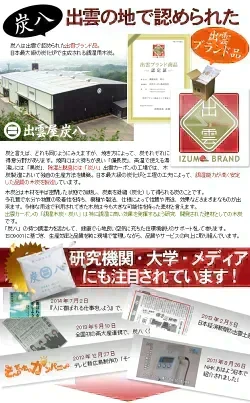 調湿木炭 炭八 お試し 6個セット（室内用大袋 1個＋押入用 3個＋タンス用 2個）