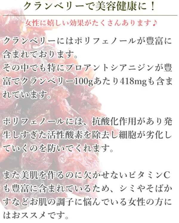 【150g】クランベリー ドライフルーツ