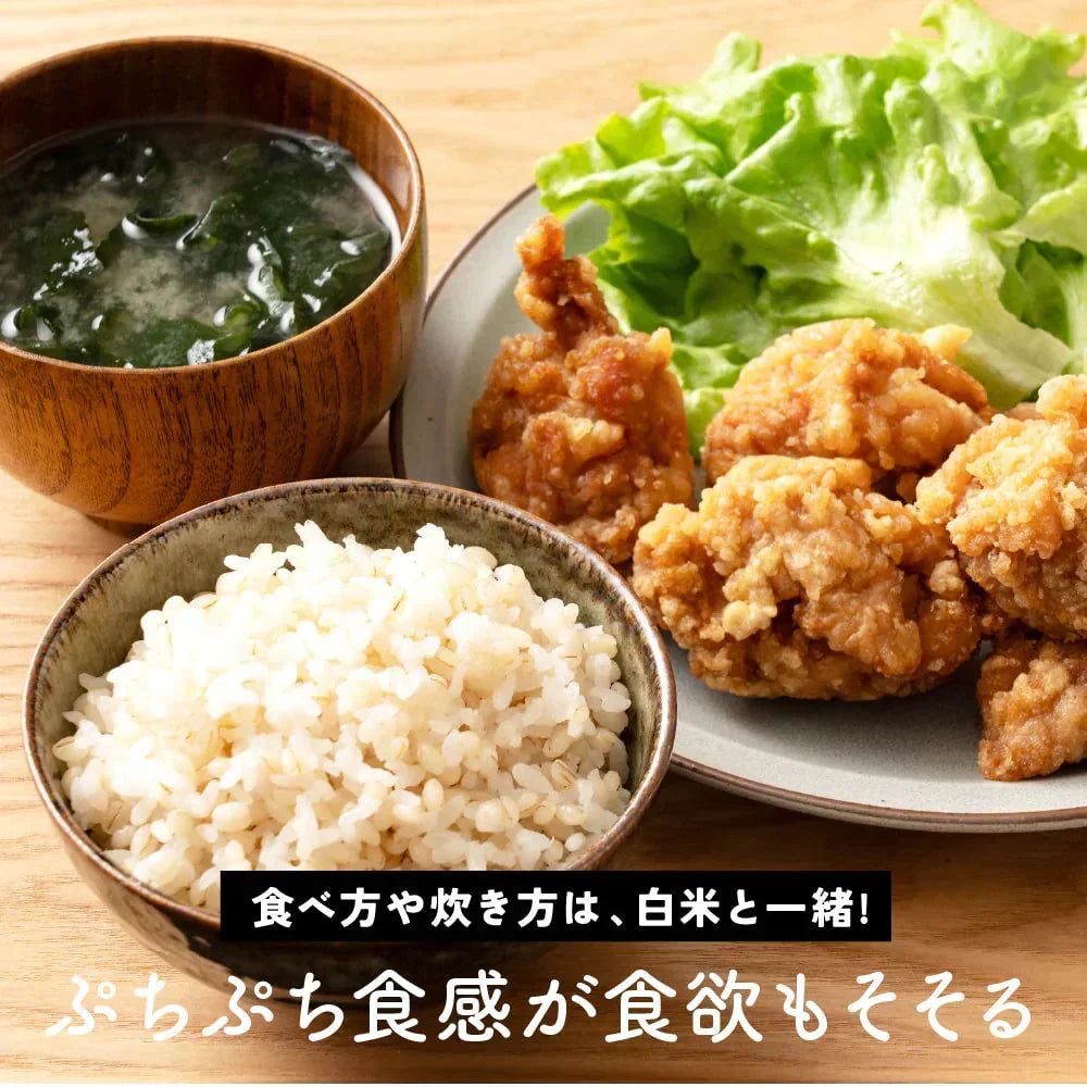 雑穀 雑穀米 国産 家計お助け米 丸麦ミックス 300g