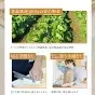 乾燥野菜 100g×1袋【青森の根菜ミックス】やさいマルシェ 無添加 ブドウ糖不使用 国産 乾燥野菜ミックス 簡単 時短 青森産 長いも 大根 人参 キャベツ ゴボウ アウトドア 災害常備菜 長期保存