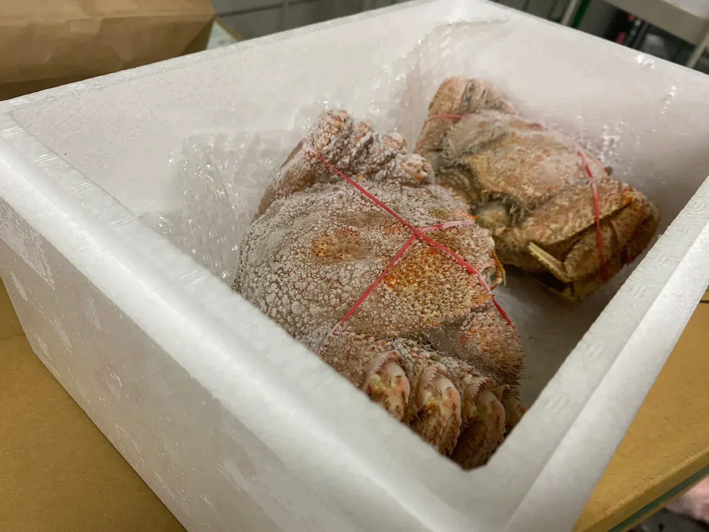 北海道産毛蟹 2尾パック 1尾あたり400~600g