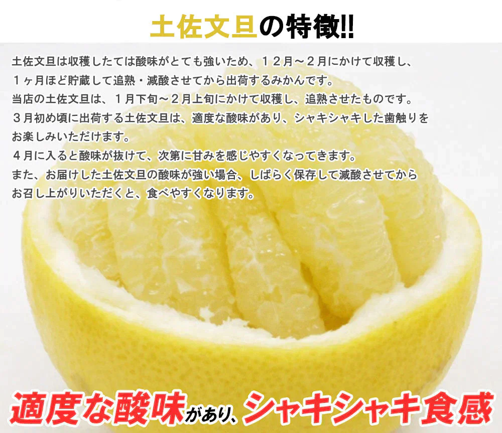 土佐文旦 中玉 4kg 送料無料 ご家庭用 箱買い サイズミックス みかん 柑橘 フルーツ 果物 産地直送 愛媛県産 YDF-007
