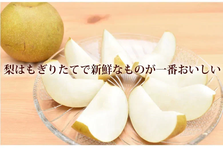 梨 秋月 送料無料 秀品 約3kg 6〜10玉 熊本県産 お取り寄せ フルーツ ナシ なし 幸水 秋月 新高