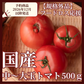 【予約商品・2026年12月初旬ごろ順次発送～2027年2月末までに発送】国産！家計応援価格！規格外品 中～大玉トマト 約500g（最低300g以上）(2玉～6玉) 【カウシェファーム収穫対象商品】
