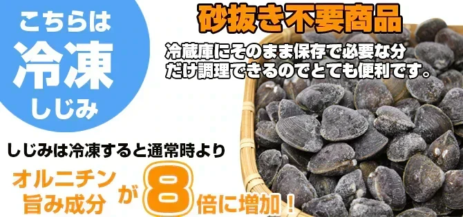 青森県十三湖 冷凍しじみ中粒  3kg （ヤマトシジミ） 砂抜き不要