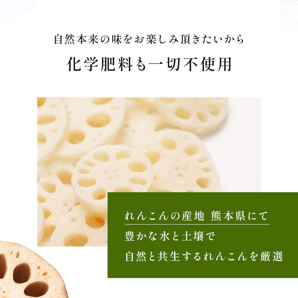 れんこんパウダー 国産 70g 無農薬 粉末 レンコンパウダー ポリフェノール レシピ 離乳食 ヨーグルト スイーツ 食物繊維 タンニン れんこん 蓮根パウダー 野菜パウダー レンコン粉 熊本県産 化学肥料不使用 送料無料