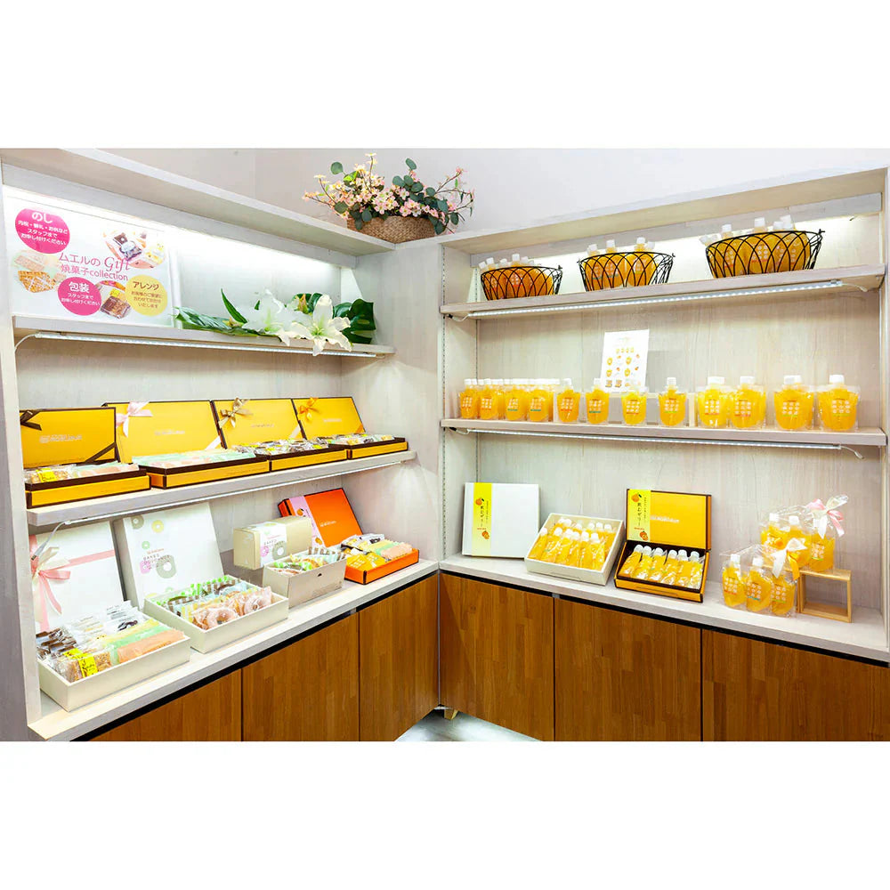 焼ドーナツ10個 【常温便】 スイーツ 焼菓子【送料込み】【お届け不可地域：北海道・沖縄・離島】