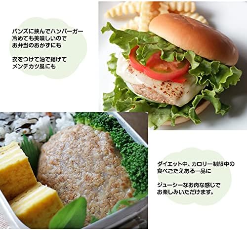 大豆ハンバーグ 代替肉 サラダバーグ 90g×6
