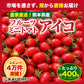 【10営業日以内に発送】たっぷり約400g！(230g～250g＋補償分150g)アイコ ミニトマト 農家直送 熊本県産（230g～250g＋保証分150g）野菜 青果 フルーツ 訳あり【カウシェファーム収穫対象商品】