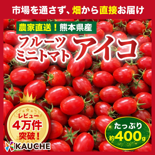 【10営業日以内に発送】たっぷり約400g！(230g～250g＋補償分150g)アイコ ミニトマト 農家直送 熊本県産（230g～250g＋保証分150g）野菜 青果 フルーツ 訳あり【カウシェファーム収穫対象商品】