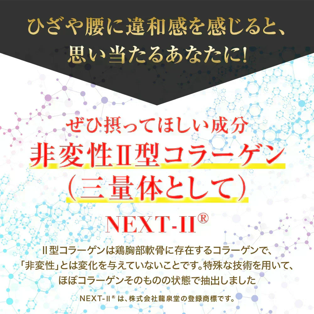 機能性表示食品　ひざ関節と腰《約1ヶ月分》 膝関節 腰 柔軟性　サプリ サプリメント 腰痛