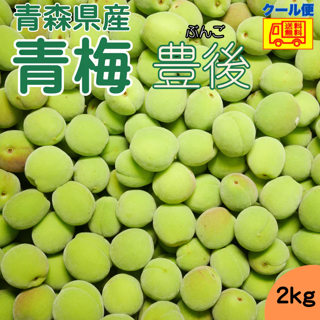 クール便 青森県産 青梅 豊後（ぶんご）2ｋｇ　送料無料！