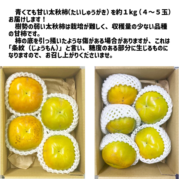 太秋柿 和歌山県産 約1kg (４〜５玉) ご家庭用 甘柿 送料無料 柿 たいしゅう