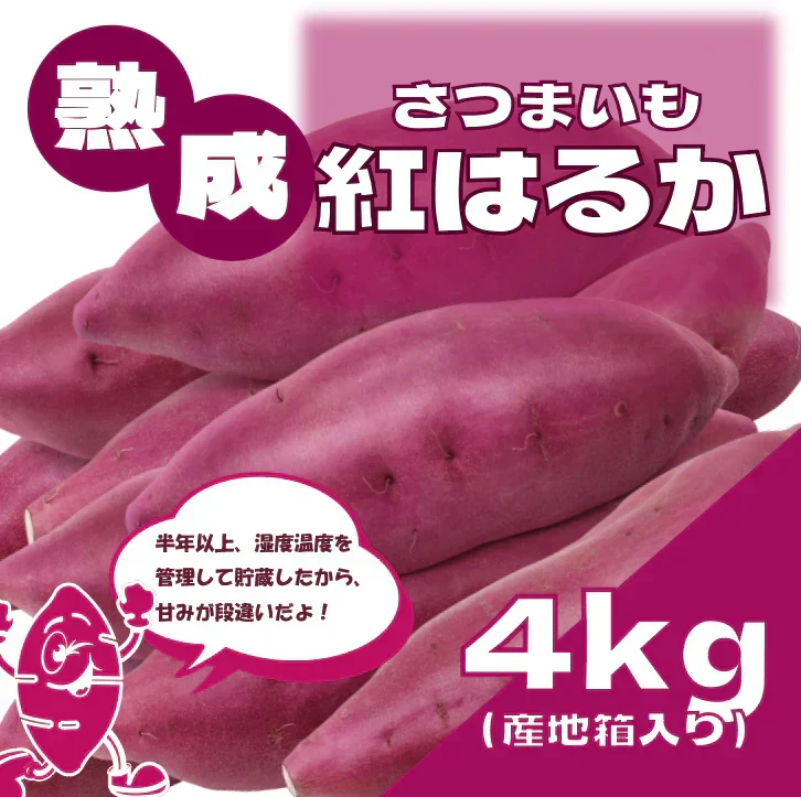 【サイズ無選別だからお買得！!80サイズ箱いっぱい!千葉県産紅はるか　貯蔵熟成】産直さつまいも　紅はるか4㎏