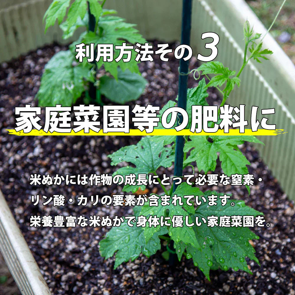 水菜土農園の 生ぬか 800g 米ぬか 糠【メール便で送料無料】