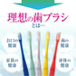歯科専用歯ブラシ Gupita グピタ (毛のかたさ：Mふつう) 20本セット ／ 理想の歯ブラシ 全5色 個包装 ／ 復興支援商品【メール便送料無料】