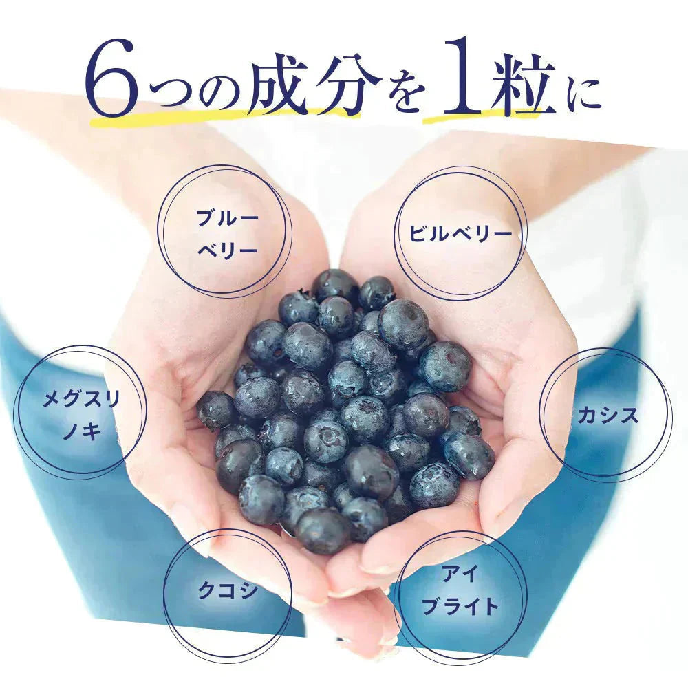 ブルーベリー 《約6ヶ月分》 送料無料 サプリ サプリメント 健康 ブルーベリー ビルベリー メグスリノキ カシス クコシ アイブライト ビタミン アイケア【大容量】