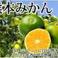 【10月上旬～中旬頃より順次出荷】みかん 10kg 熊本みかん 送料無料 秀品 2S〜L 熊本県産 極早生みかん お取り寄せ 蜜柑 ミカン