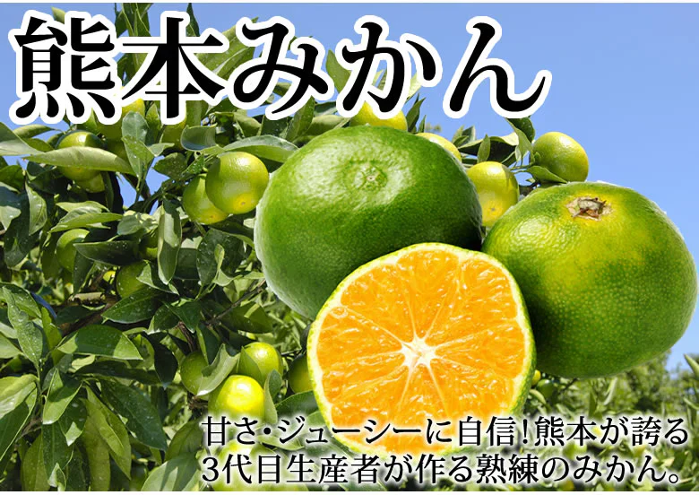 【10月上旬～中旬頃より順次出荷】みかん 10kg 熊本みかん 送料無料 秀品 2S〜L 熊本県産 極早生みかん お取り寄せ 蜜柑 ミカン