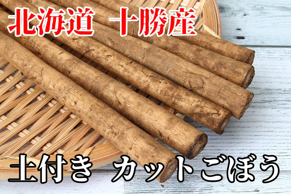 北海道 十勝産 訳アリ品 ごぼう B品 30cmカット 土付き 野菜 (10kg)  ゴボウ