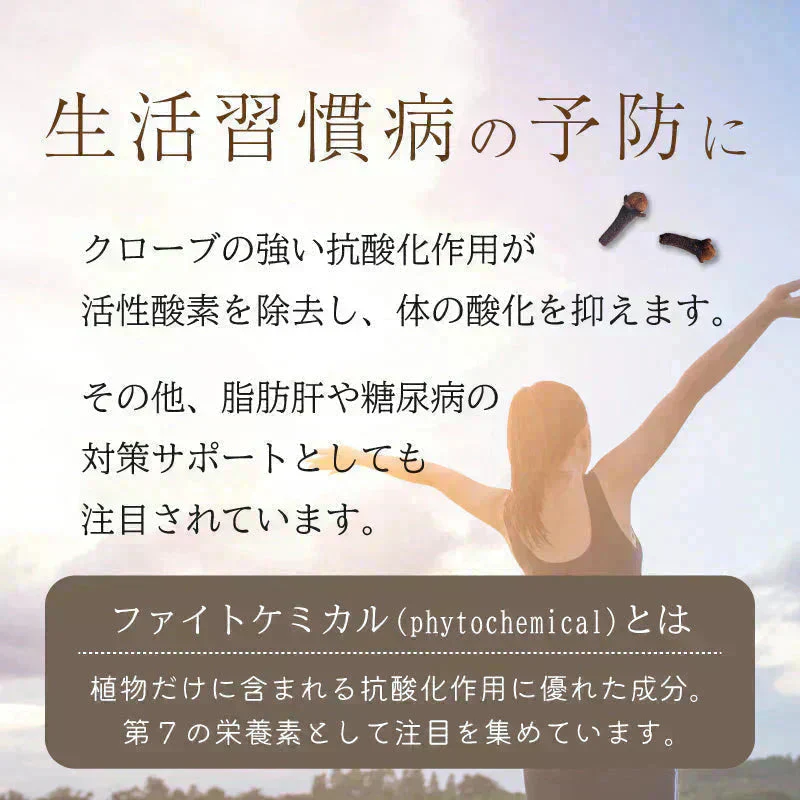 クローブ ホール オーガニック 無添加 ゴキブリ 対策 100g クローブゴキブリ チョウジ 丁子 スリランカ 有機JAS スパイスカレー セイロン スパイス 香辛料