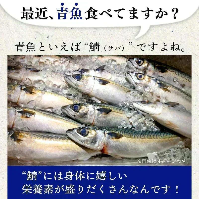 ＜こんがり炙り鯖ジャーキー 120g＞ おつまみ