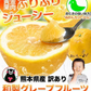 河内晩柑 送料無料 1.5kg 和製 グレープフルーツ 旬 の フルーツ 果物 みかん 訳あり 夏文旦 晩柑 宇和ゴールド ジューシーみかん 熊本県産 《1-5営業日以内に発送予定(土日祝日除く)》