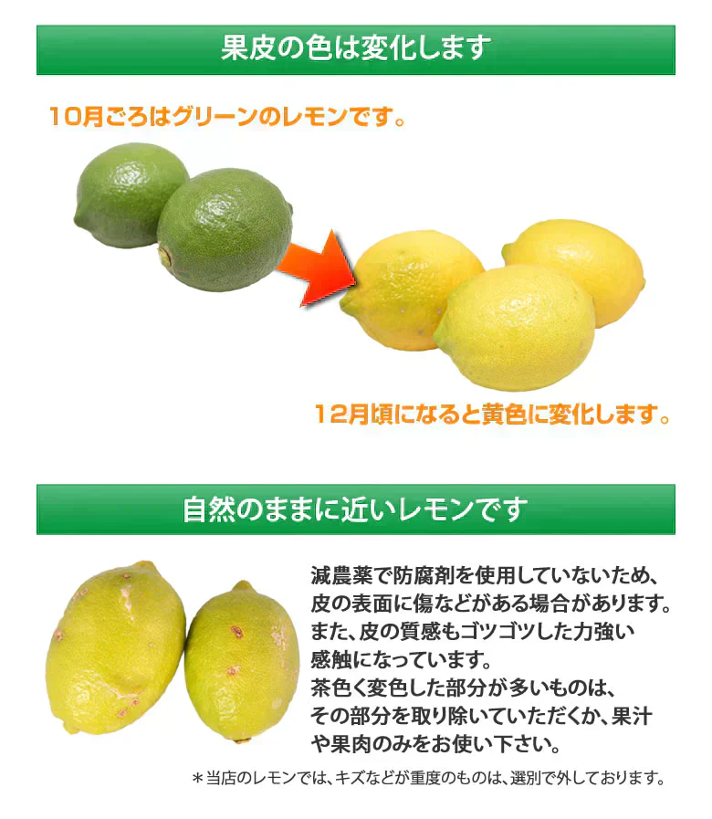 【9月下旬～10月上旬頃より順次出荷】レモン 国産レモン 送料無料 4kg 2S～L  熊本県産 減農薬 防腐剤ワックス不使用 れもん グリーンレモン 国産