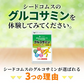 2型コラーゲン配合グルコサミン＆コンドロイチン＆MSM《約1ヶ月分》 サプリ サプリメント 健康 グルコサミン グルコ コンドロイチン msm フィッシュ コラーゲン