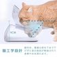 ペットボウル 猫 フードボウル 猫 えさ 皿 猫 食器 おしゃれ 小型犬用 食器 ダイニング フードボール ペット食器 餌台 ペットボウル ペットトレー トレー 犬用 w443B(グレー)