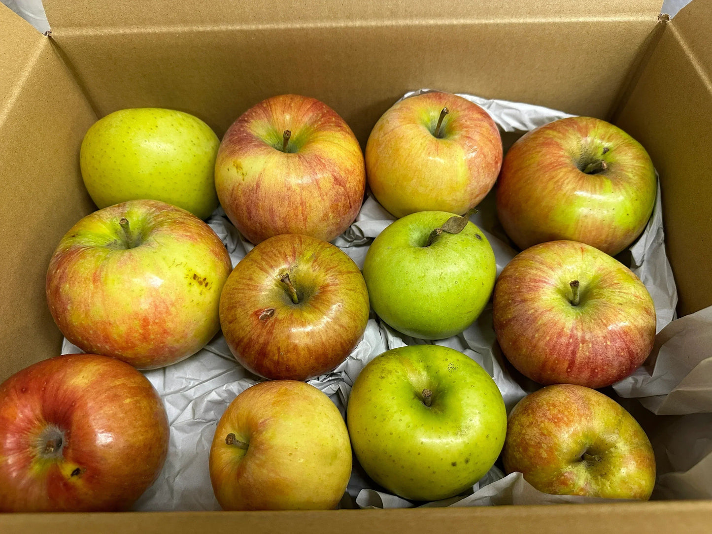 訳ありレスキューりんご 約3kg 長野県産 家庭用  品種混合 果物 フルーツ【順次出荷】