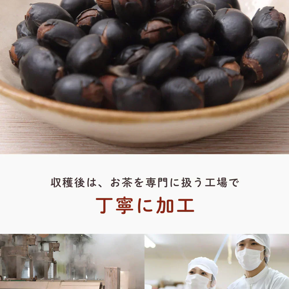 健康菜茶 食べる黒豆茶 国産 北海道産 焙煎煎り黒豆使用 500g 賞味期限：2024年9月29日 カウシェ限定 ｜ オーガライフ