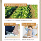 乾燥野菜 100g×2袋【青森のねぎ香るミックス】やさいマルシェ 無添加 ブドウ糖不使用 簡単 無駄なし 時短 青森産 アウトドア 災害常備菜 長期保存 食物繊維 国産