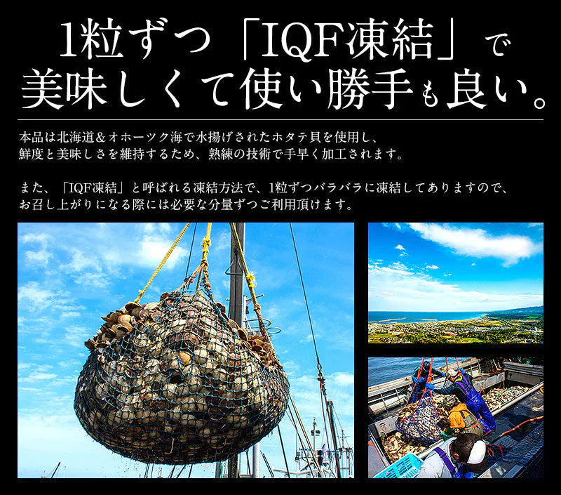 ホタテ 貝柱 1kg 訳あり（割れ 欠け サイズ不揃い）