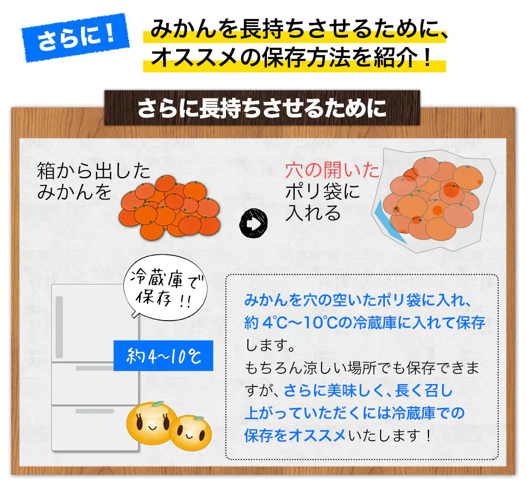 産地直送 熊本県産 みかん 訳あり 送料無料 熊本ミカン 大玉 小玉 不選別 規格外 果物 柑橘 九州 訳アリ 蜜柑 みかん 3-7営業日以内に発送予定（土日祝除く）