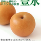 福島県産 梨 なし 2kg箱 ★秀品★品種おまかせ