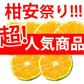 【10月上旬～中旬頃より順次出荷】みかん 訳あり 送料無料 1.5kg  熊本みかん 熊本県産 極早生みかん 蜜柑 ミカン
