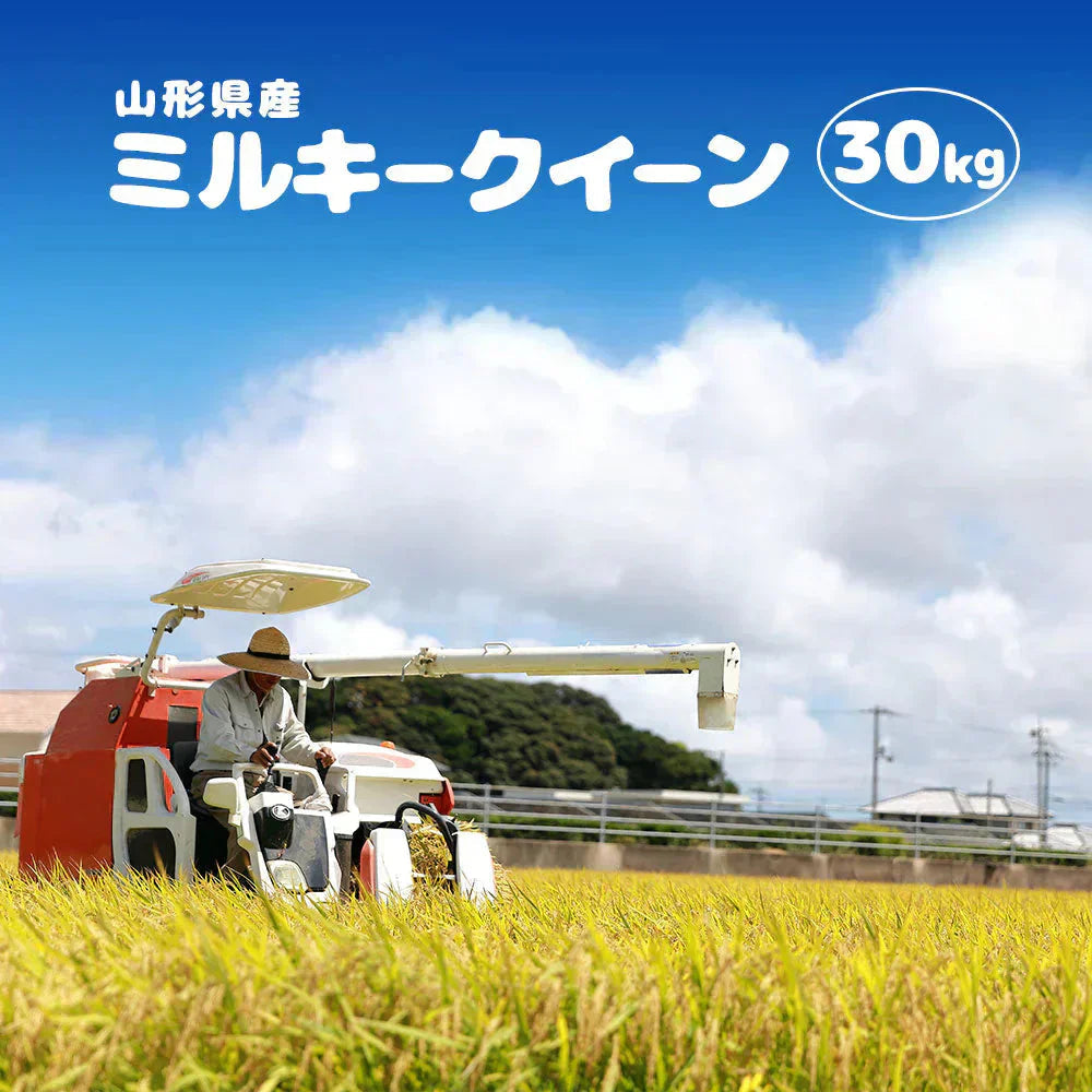 ミルキークイーン 無洗米 30kg (精米後27kg) 山形県産 令和7年産 送料無料 米 30キロ こめ コメ お米 精米 新米 お米30kg ミルキークイーン30kg ミルキークイーン30キロ