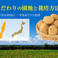 中園ファームのじゃがいも 新じゃが (馬鈴薯) 訳あり 10kg (M～2Lサイズ混合) 種子島産 ジャガイモ 芋 野菜 お取り寄せ