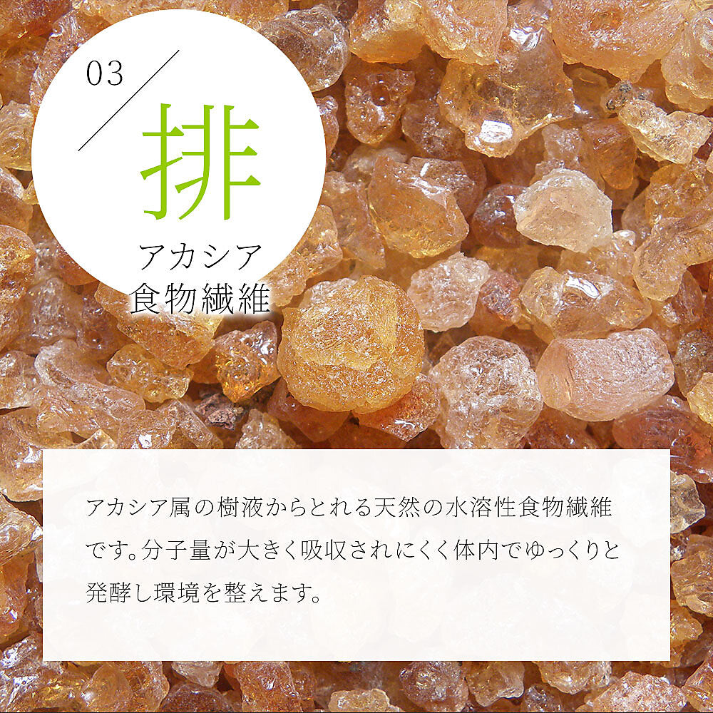 サラシアブラック《約1ヶ月分》炭 チャコール配合 サプリ サプリメント ダイエット チャコールクレンズ ダイエットサプリ サラシア【カウシェファーム収穫対象商品】